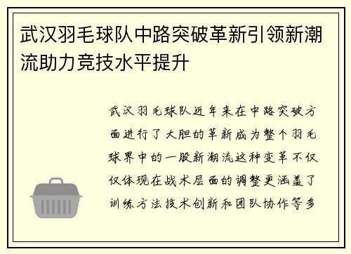武汉羽毛球队中路突破革新引领新潮流助力竞技水平提升